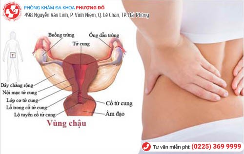 Các bệnh viêm nhiễm phụ khoa thường gặp và những nguy hiểm