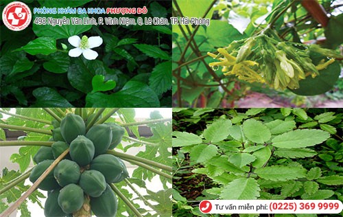 Cách chữa bệnh trĩ nhanh lành, không đau tại nhà có thực sự hiệu quả?