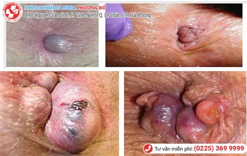 Phòng khám đa khoa Phượng Đỏ