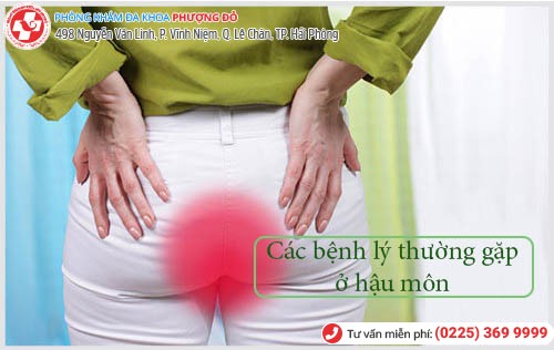 Các bệnh hậu môn trực tràng thường gặp và tác hại nguy hiểm