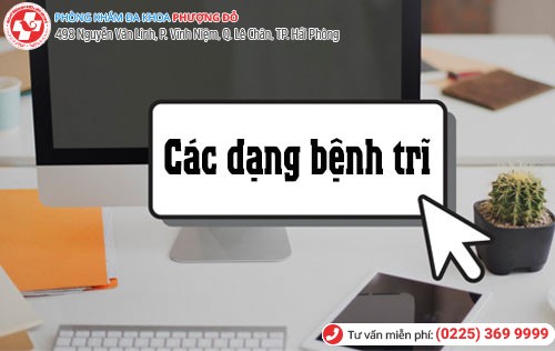 Bệnh trĩ được phân thành 3 dạng Các dạng bệnh trĩ