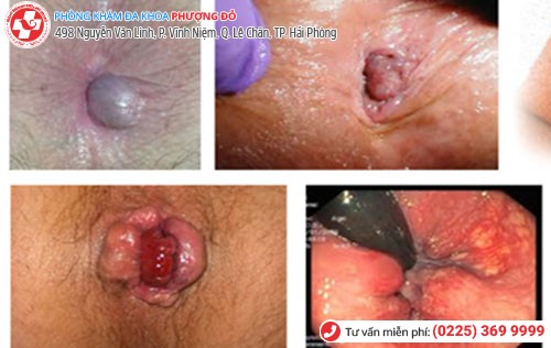 Phòng khám đa khoa Phượng Đỏ