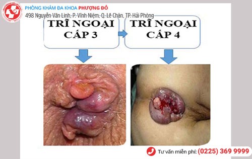 Phòng khám đa khoa Phượng Đỏ