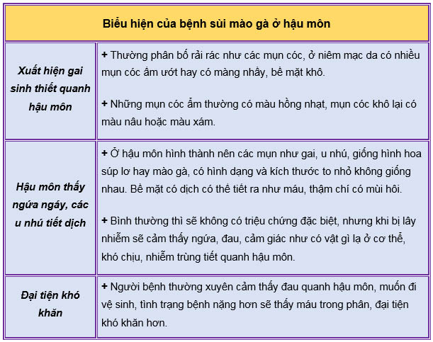 biểu hiện sùi mào gà hậu môn