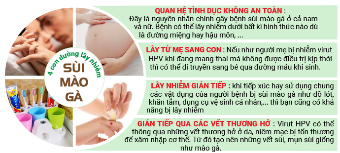 nguyên nhân bị sùi mào gà