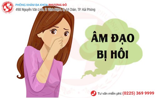 Âm đạo bị hôi