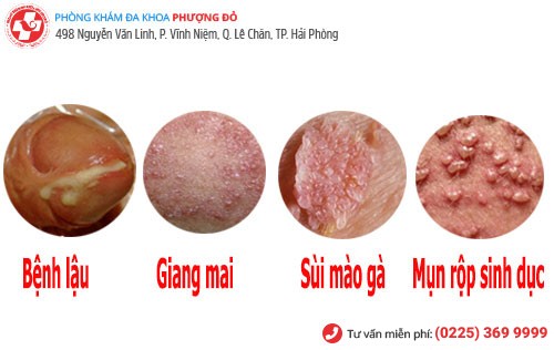 Phòng khám đa khoa Phượng Đỏ