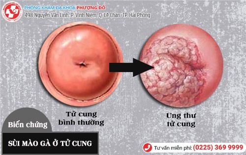 Phòng khám đa khoa Phượng Đỏ