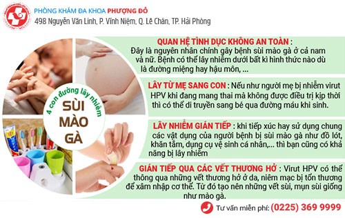 nguyên nhân sùi mào gà