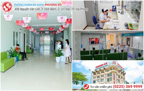 Phượng Đỏ chữa trị thành công nhiều ca bệnh mào gà