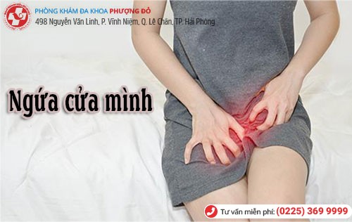 Phòng khám đa khoa Phượng Đỏ