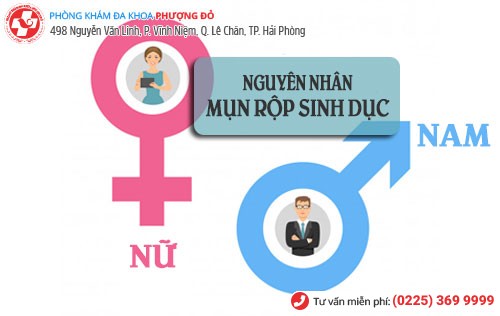 Nguyên nhân mụn rộp sinh dục