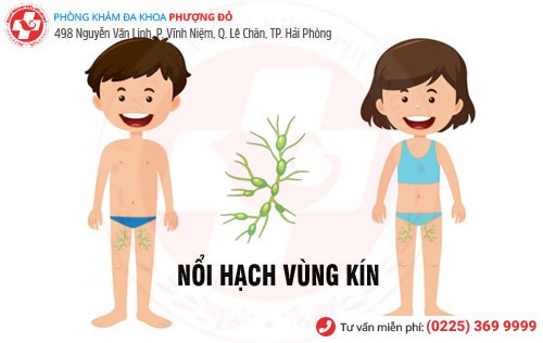 Phòng khám đa khoa Phượng Đỏ