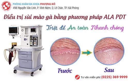 Phòng khám đa khoa Phượng Đỏ