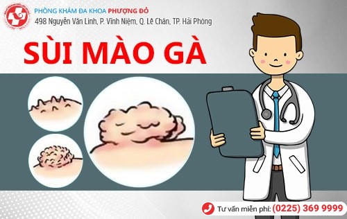 Bệnh Sùi Mào Gà Lây Qua Đường Nào Triệu Chứng Biểu Hiện Ra Sao