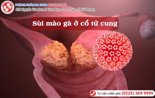 Phòng khám đa khoa Phượng Đỏ