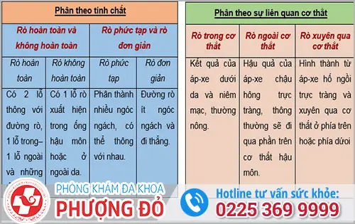 Phân loại rò hậu môn