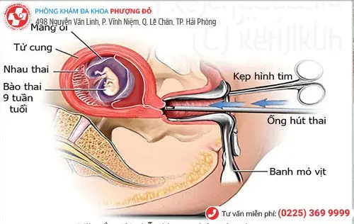 Phòng khám đa khoa Phượng Đỏ